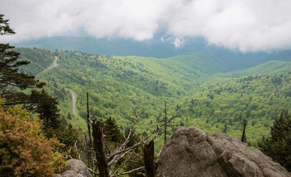 Waterrock Knob