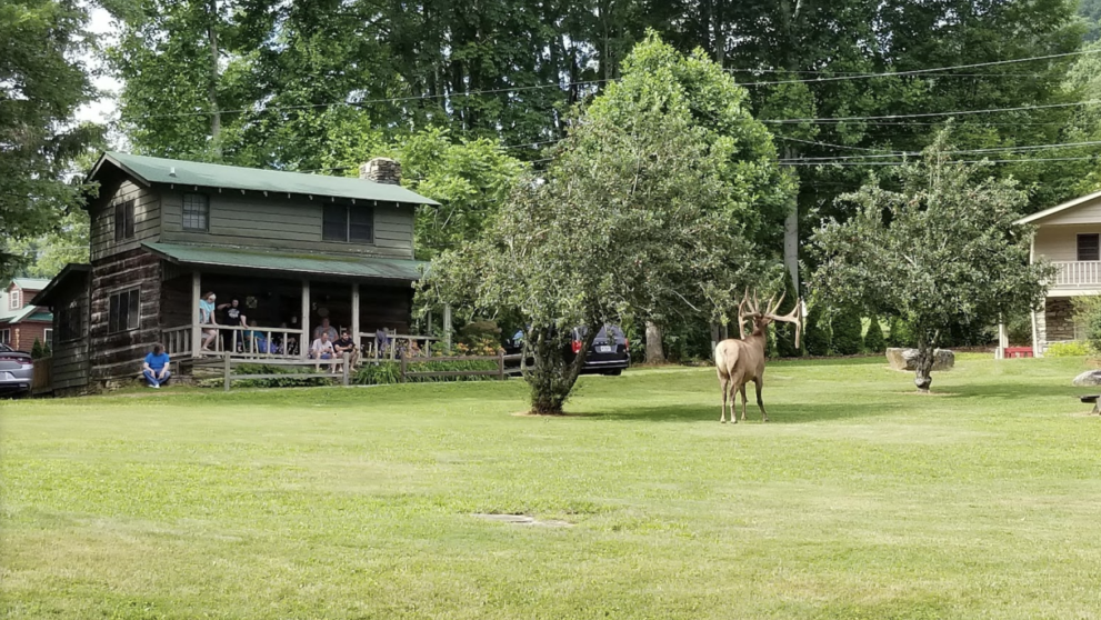 Mountain Joy Cottages