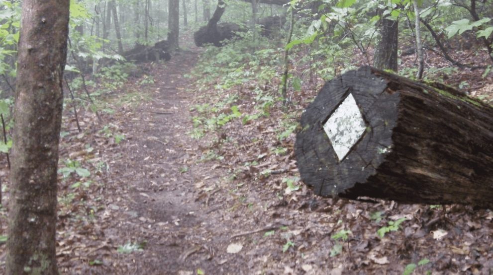 Benton MacKaye Trail