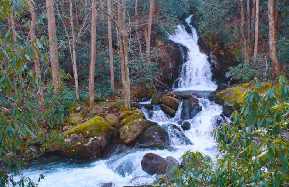 Big Creek Trail