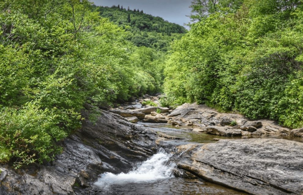 Graveyard Fields